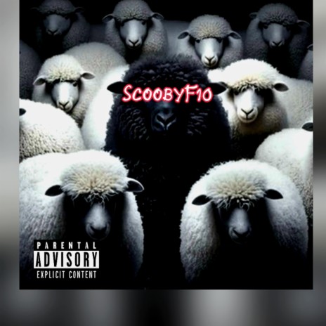 Black Sheep | Boomplay Music