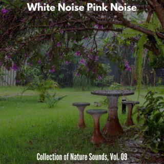 White Noise Pink Noise - Collection of Nature Sounds, Vol. 09