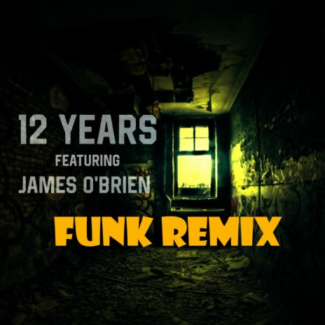 12 Years (Funk Remix) | Boomplay Music