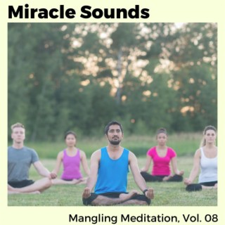 Miracle Sounds - Mangling Meditation, Vol. 08