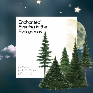 Enchanted Evening in the Evergreens