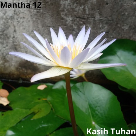 Kasih Tuhan | Boomplay Music