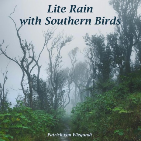 Lite Rain with Southern Birds | Boomplay Music