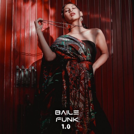 Baile Funk 1.0 | Boomplay Music