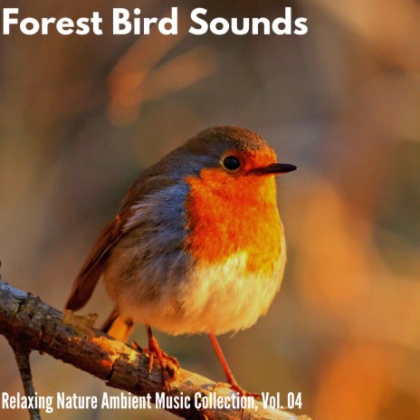Echoes of Forest Birds | Boomplay Music