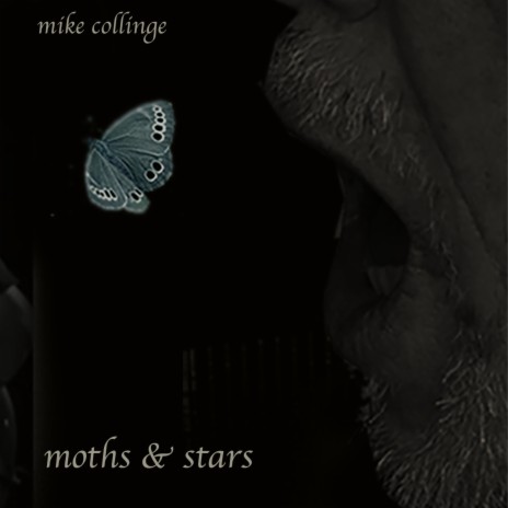 Moth & The Star