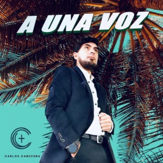 A una voz lyrics | Boomplay Music