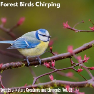 Forest Birds Chirping - Sounds of Nature Creatures and Elements, Vol. 02