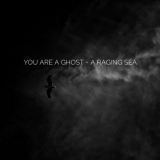 You Are A Ghost