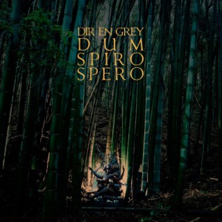 DUM SPIRO SPERO