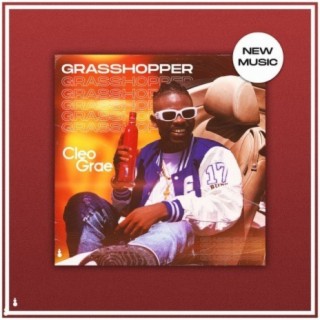 Grasshopper lyrics | Boomplay Music