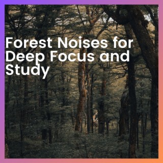 Forest Noises for Deep Focus and Study
