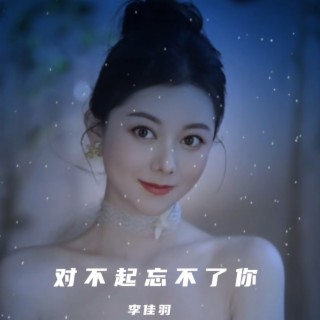 对不起忘不了你(DJ小玉版) lyrics | Boomplay Music