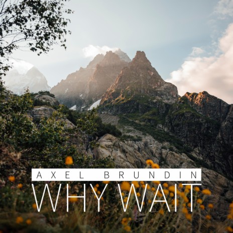 Why Wait | Boomplay Music