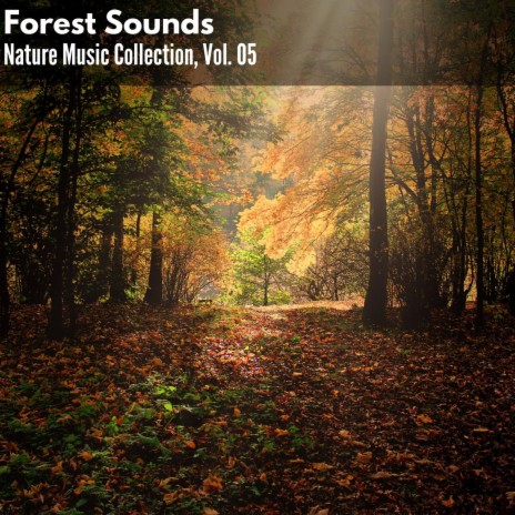 Thick Forest Tennessee Wind | Boomplay Music