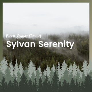 Sylvan Serenity: Peaceful Woodland Ambiance