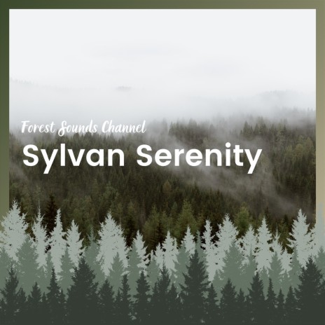 Sylvan Serenity ft. Birds Songs Lullabies