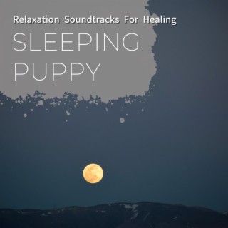 Relaxation Soundtracks for Healing