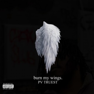 Burn My Wings