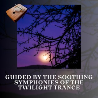Guided by the Soothing Symphonies of the Twilight Trance