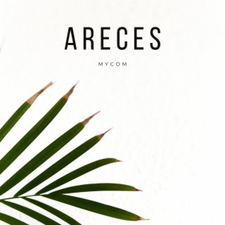 Areces