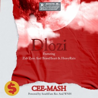 Dlozi ft. Zub Zero, Braveheart & Heavyrain lyrics | Boomplay Music