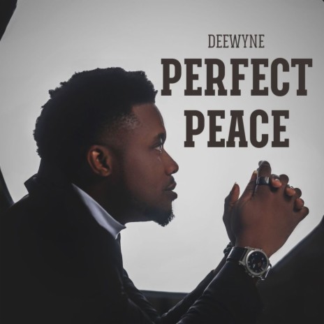 Perfect Peace | Boomplay Music