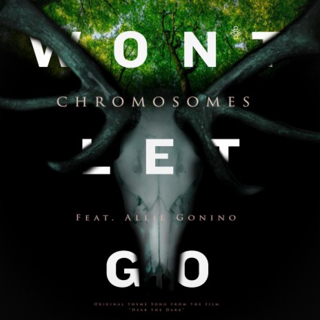 Won't Let Go (Theme from Hear the Dark) ft. Allie Gonino | Boomplay Music