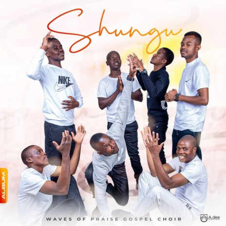 Shungu dzaMwari | Boomplay Music
