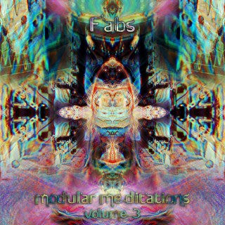 Modular Meditations, Vol. 3