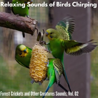 Relaxing Sounds of Birds Chirping - Forest Crickets and Other Creatures Sounds, Vol. 02