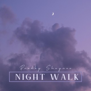 Night Walk