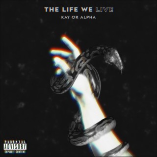 The Life We Live lyrics | Boomplay Music