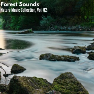 Forest Sounds - Nature Music Collection, Vol. 02
