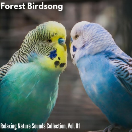 Obscure Forest Birds