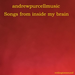 Songs from inside my brain