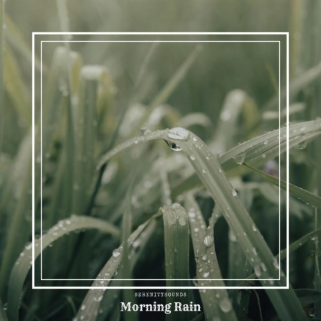 Morning Rain | Boomplay Music