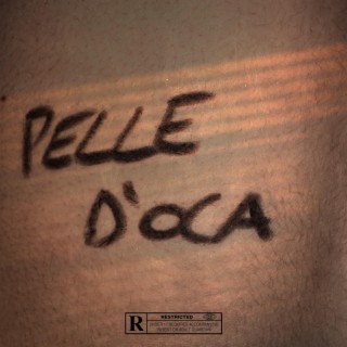 Pelle D'oca