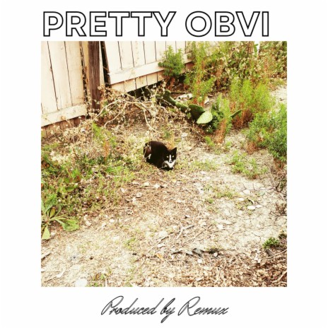 Pretty Obvi | Boomplay Music
