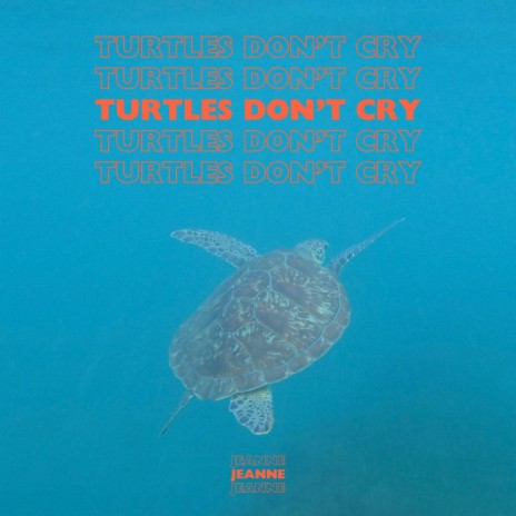 turtles don't cry | Boomplay Music