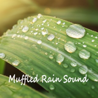 Muffled Rain Sound