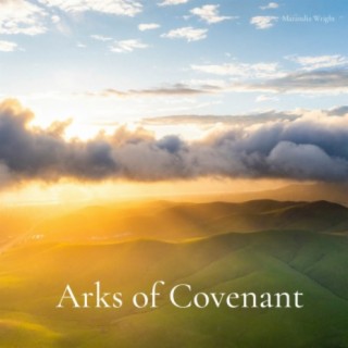 Arks of Covenant