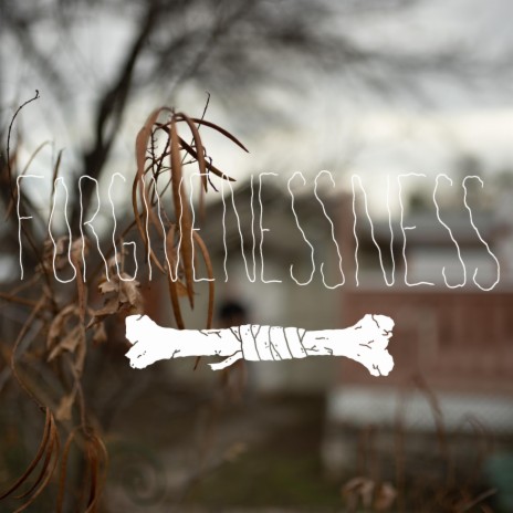 Punchline 2 (Forgivenessness) | Boomplay Music