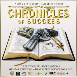 Chronicles of Success Vol. 2