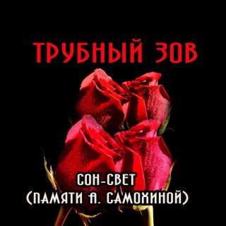 Сон-свет (памяти А. Самохиной)