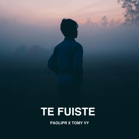 Te Fuiste ft. Tomy Vy | Boomplay Music
