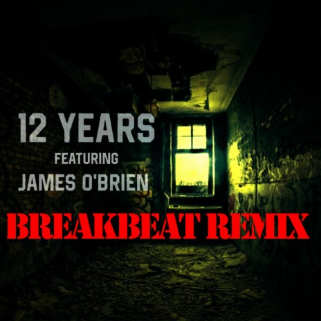 12 Years (Breakbeat Remix) | Boomplay Music