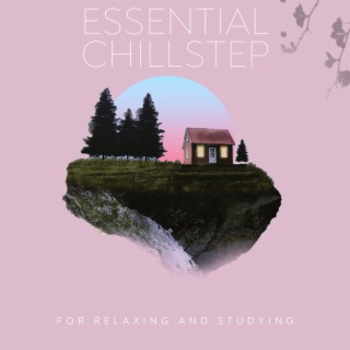 Essential Chillstep For Relaxing and Studying
