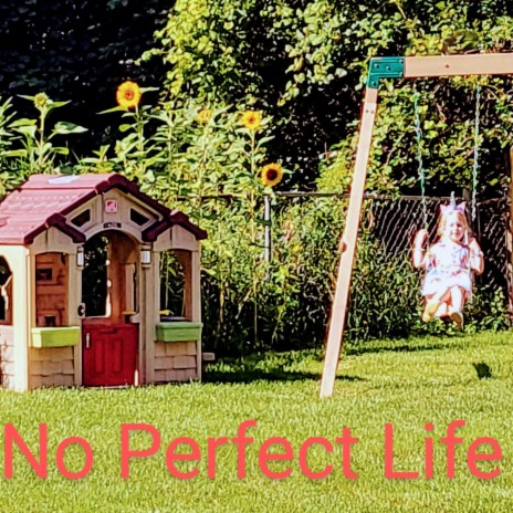 No Perfect Life | Boomplay Music
