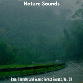 Nature Sounds - Rain, Thunder and Scenic Forest Sounds, Vol. 02